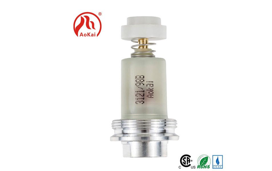 I-valve ye-solenoid evamile yokuxazulula inkinga