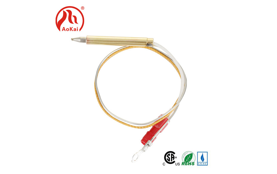 Iyini i-thermocouple yesitofu segesi?