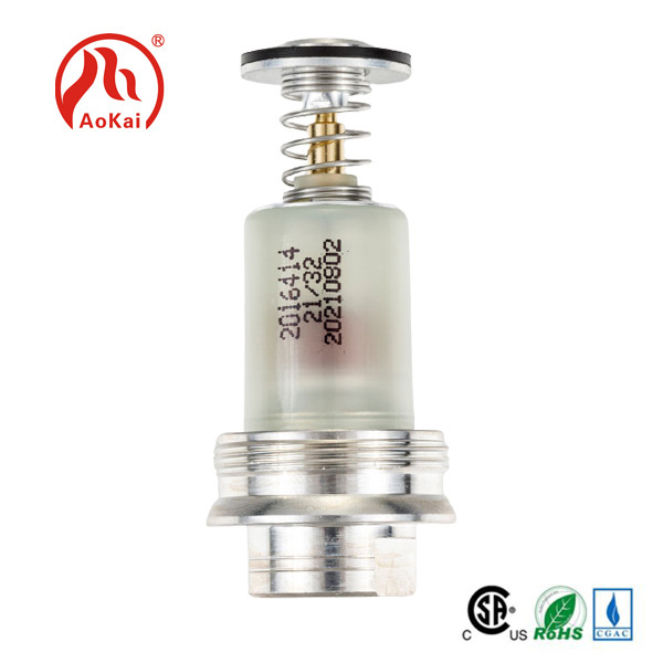 I-Magnetic valve ye-heater yamanzi egesi